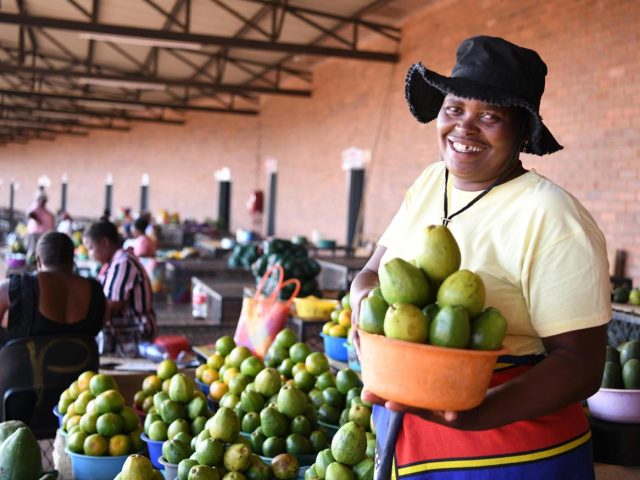 Limpopo Showcases Trade, Investment, and Agricultural Strength at G20 Roadshow
